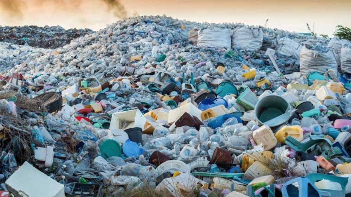 Plastic waste - 1